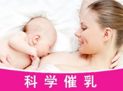 催乳公司名字大全