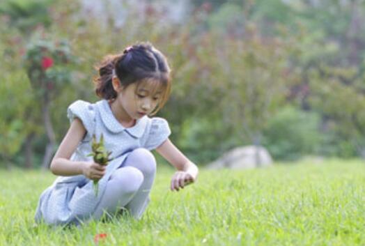 朱姓女孩漂亮有涵养的名字