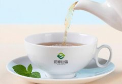 有创意的茶品牌名字大全